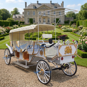Véhicule de tourisme électrique de luxe le plus populaire d'Europe, type calèche royale, pour excursions en plein air, à vendre - Product Image 3