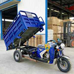 Triciclo <span class=keywords><strong>Motorizado</strong></span> <span class=keywords><strong>de</strong></span> Gasolina <span class=keywords><strong>de</strong></span> 250cc y 3 Ruedas para Uso Agrícola y <span class=keywords><strong>de</strong></span> Carga, Capacidad <span class=keywords><strong>de</strong></span> Carga Pesada <span class=keywords><strong>de</strong></span> 1000 kg - Product Image 1