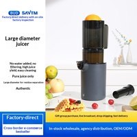Bode's originele sapcentrifuge, pulpseparator, grote capaciteit, huishoudelijk, multifunctioneel, volautomatische sapmachine JE-46