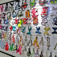 Vente en gros Harnais de luxe en nylon néoprène pour animaux de compagnie Collier de chien sans traction Ensemble de laisse Conception de logo personnalisé Faisceaux de harnais de cou réglables