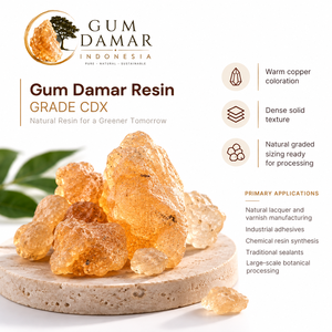 Gomme Damar Grade CDX Résine Naturelle Indonésie Couleur Cuivre Chaud Texture Dense Solide Pour Laque et Adhésifs - Product Image 2