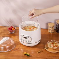 Mini-cuiseur électrique à cuisson lente avec minuterie numérique, arrêt automatique, design portable, cuisson rapide, classe A++, écologique, usage domestique