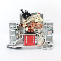 Disjoncteur Miniature MCB C65 Interrupteur à Air 1 Pôle 2 Pôles 3 Pôles 4 Pôles 2 Phases 1/2/3/4/6/10/16/20/25/32/40/50/63 Ampères AC