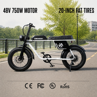 Vélo électrique 750W, batterie 12.5AH, vélo de montagne électrique tout-terrain, pneus tout-terrain de 20 pouces, vélo électrique pour hommes adultes
