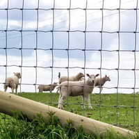 Panneaux de clôture à nœuds fixes pour les fermes d'élevage de bovins et de cerfs