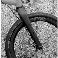 Pour Brompton G Line vélo fourche avant 20 pouces frein à disque en Fiber de carbone à travers l'essieu M12x100mm pour le cyclisme urbain