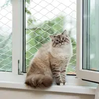 Amazon หน้าต่างตาข่ายไนลอนสำหรับแมว,ตาข่ายป้องกันระเบียงหน้าต่าง