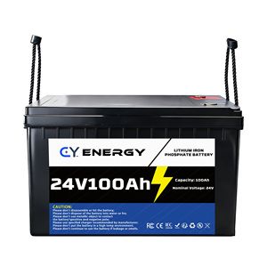 <span class=keywords><strong>2026</strong></span> CY 25.6V 100Ah LiFePO4 딥 사이클 에너지 저장 배터리 팩 BMS IP65 6000 사이클 - Product Image 2