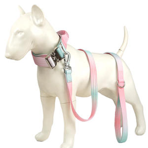 Correa de perro de doble capa degradada, Collar táctico para mascotas, correa de entrenamiento, Collar de cuello de perro para razas medianas y grandes - Product Image 6