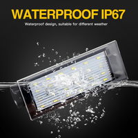 Canbus LED numéro de plaque d'immatriculation pour Renault Megane 3 Clio Laguna 2 Megane 3 Twingo Master Vel satiné // 8200480127