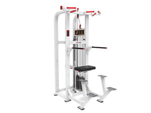 GC-5019 nouveau <span class=keywords><strong>Chin</strong></span> Up Gym force plaques de poids sélectionner aider <span class=keywords><strong>Dip</strong></span> <span class=keywords><strong>Chin</strong></span> Up équipement d'entraînement - Product Image 3