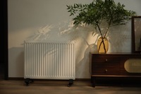 Radiateur de panneau en acier électrique à usage domestique portable 2000W a évalué les dimensions d'économie d'énergie d'émission de chaleur puissante H600XL1000XW110