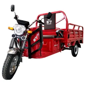 Wholesale 800W/1000W/1200W Cargo Electric Rickshaw Tricycles Hydraulic Self-Propelled Electric Cissor Lift Motorcycle