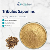 Saponines stéroïdiennes totales séchées par pulvérisation de qualité supérieure 40% UV, poudre fine de fruit de Tribulus Terrestris