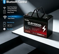 Pack de batteries solaires LiFePO4 12V 24V 100Ah 200Ah 280Ah 300Ah Batterie lithium-ion 24V