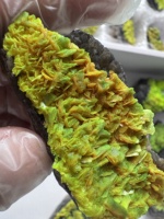 Cristal d'Autunite vert fluorescent naturellement présent, en bloc et en forme de cube, provenant de l'extraction locale du Hunan, collection de spécimens