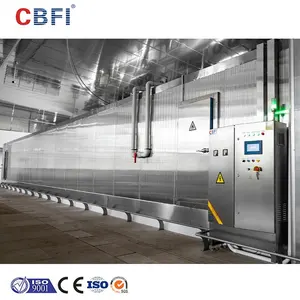 Tunnel de congélation rapide IQF Blast personnalisé en usine pour crevettes/fruits de mer/viande/fruits/légumes
