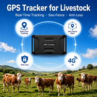Traceur GPS satellite 4G LTE Cat1 étanche 20000 mAh pour animaux sauvages, chameaux, bovins, vaches avec lecture de la trajectoire des roues