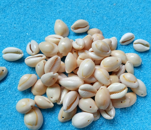 Hair Mountings <strong>Braiding</strong> Cowrie Shell <strong>Beads</strong> for Hair Accessories Shell Hair Clip Decor 1kg - Product Image 2