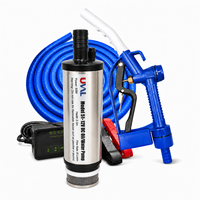 Pompe à huile submersible basse pression 12V/24V, petite, pour transfert de diesel, 85W, avec kit de pistolet à huile et tuyau de 2m, OEM, diamètre 51mm