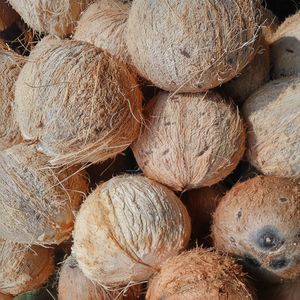 มะพร้าวอบแห้ง ราคาสมเหตุสมผล ผลิตในเวียดนาม//คุณภาพสูง//2021 - Product Image 1