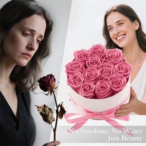 Caja <span class=keywords><strong>de</strong></span> Rosas Preservadas Quiet Luxury, 12 Rosas Rosadas Hechas <span class=keywords><strong>a</strong></span> <span class=keywords><strong>Mano</strong></span>, Cilindro Blanco, Regalo OEM para <span class=keywords><strong>Aniversario</strong></span> <span class=keywords><strong>de</strong></span> Bodas, Navidad, Larga Duración <span class=keywords><strong>de</strong></span> 3 <span class=keywords><strong>a</strong></span> 5 <span class=keywords><strong>A</strong></span>ños - Product Image 3