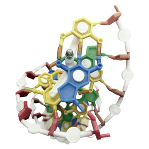 DNAモデル、DNA二重らせんモデル、DNA色二重らせん医学モデル - Product Image 4