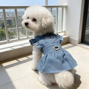 Summer Thin Denim <b>Princess</b> Dress For Small Dogs Teddy Breathable Spring Summer Skirt Lace Trim Pet <b>Clothes</b> - Product Image 4