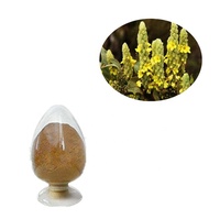 Suplemento de extrato de ervas folhas mullein