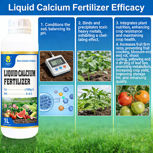 แคลเซียมเหลวเข้มข้น 180 กรัม/<span class=keywords><strong>ลิตร</strong></span> น้ำตาลแอลกอฮอล์คอมเพล็กซ์  ซึมซาบเร็ว สำหรับแอปเปิ้ล ลูกแพร์ ส้ม องุ่น ขายดี - Product Image 5