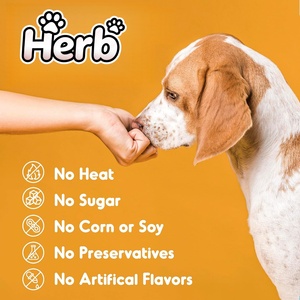 Probióticos para Perros con Prebióticos, Marca Privada OEM ODM, Promueve un Microbioma Intestinal Equilibrado, Refuerza la Salud Inmunológica, Masticables Blandos - Product Image 5