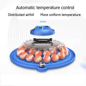 Tự Động Kiểm Soát Nhiệt Độ 52 Trứng Lồng Ấp Cho Gà Ngỗng Vịt Chim Cút Trứng Sử Dụng Giá Rẻ Bán - Product Image 6