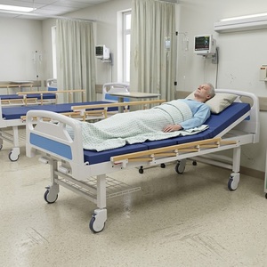 Cama Médica Manual <span class=keywords><strong>de</strong></span> Doble Manivela con ABS, Cama <span class=keywords><strong>de</strong></span> Hospital <span class=keywords><strong>de</strong></span> Dos Funciones para Cuidado en el Hogar <span class=keywords><strong>de</strong></span> Ancianos, Enfermerí<span class=keywords><strong>a</strong></span> <span class=keywords><strong>de</strong></span> Pacientes Hospitalarios - Product Image 1