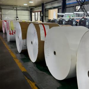 Rouleau de papier brillant de qualité alimentaire en pâte de bois vierge, laminé PE double face, rouleau jumbo, largeur personnalisée pour la matière première des gobelets en papier - Product Image 2