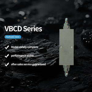 Pièces de grue hydraulique à double équilibrage de la série VBCD pour systèmes - Product Image 1