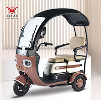 Tricycle domestique 800W, petit scooter à trois places, tricycle réglable pour 3 personnes