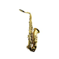 SEASOUND OEM High Quality Cheap Gold BB Tenor Saxophone Woodwind Instrument with Brass Body Adjustable Features JYTS103
