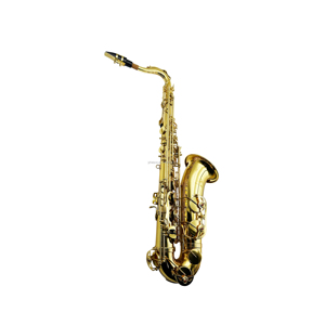 <span class=keywords><strong>Saxophone</strong></span> <span class=keywords><strong>Ténor</strong></span> SEASOUND OEM de Haute Qualité, Instrument à Vent en Bois Doré BB avec Corps en Laiton et Fonctionnalités Réglables JYTS103 - Product Image 6
