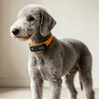Traceur GPS pour chien alimenté par l'IA, surveillance de la santé et de l'activité 24/7, localisation en direct, alertes géofences, son LED, étanche, silicone