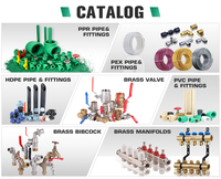 Vanne à bille en laiton de contrôle de gaz de sécurité sans échantillon forgé IFAN DIN 8074/8075