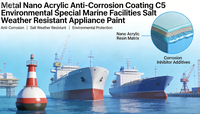 Recubrimiento Anticorrosivo de Resina Acrílica Nano Metálica C5 para Construcción, Adhesión, Resistencia a Altas Temperaturas y Colores Personalizados