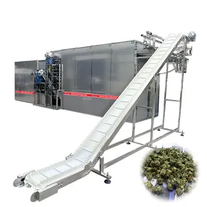 Secador de alimento personalizado da linha de produção de alimentos okra, secador contínuo de túnel de convexo