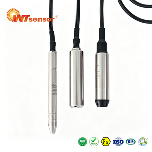 Capteur de niveau d'eau submersible professionnel OEM ODM de 15,8 mm à très petit diamètre, 4-20 mA, pour pipeline industriel, solution d'approvisionnement unique - Product Image 1