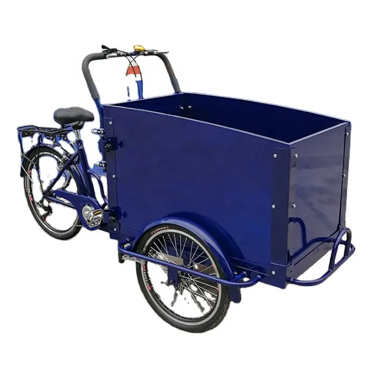 Oem 세륨은 Triciclo Electrico Adulto 가족 사용 전기 Trike 정면 선적 화물 세발자전거 이동할 수 있는 3 개의 바퀴 화물 자전거를 찬성했습니다