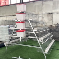 Cage à œufs pour 1000 poulets, cage à poulets pour ferme avicole, cage à œufs pour 10000 poulets