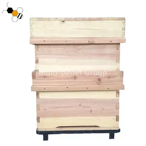 Two Levels Korean Bee Keeping Equipment Box Beehive für Sale