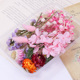 Dry Flowers <strong>Box</strong> Preserved Stabilized DIY Resin Art Mixed Dry Flowers Multicolor Natural <strong>Bulk</strong> Dried Flowers Materials Sets - Product Image 4