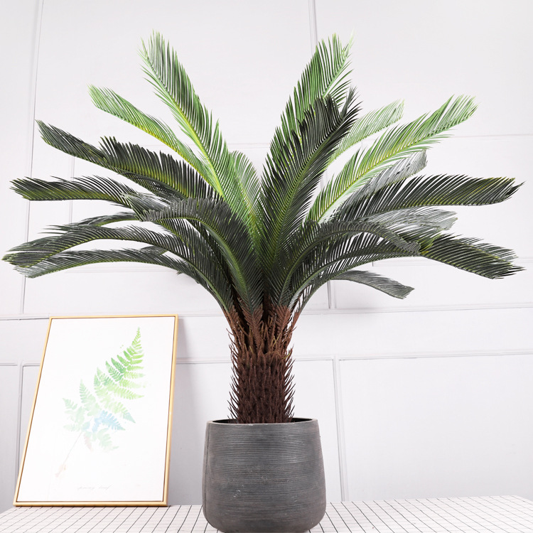 Cycas de 28 hojas, H130CM