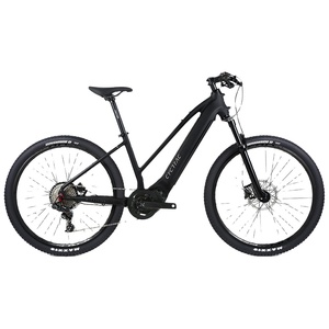 Bicicleta Eléctrica 2025 EC1 con Motor de 11 Velocidades, Bicicleta Eléctrica de Carretera de 48V 250W con Motor Central, la Mejor Relación <span class=keywords><strong>Calidad</strong></span>-<span class=keywords><strong>Precio</strong></span> - Product Image 1