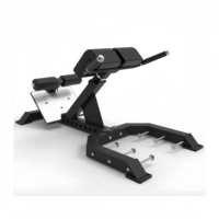 SF nouveau Design réglable dos Extension Machine professionnel musculation pliable 45 degrés chaise romaine dos formateur
